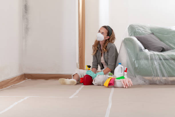 Reliable Mold Remediation contractor in Glen Ellyn, IL by WQB Mold Removal